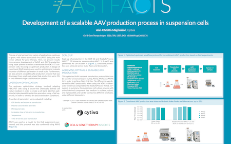 Development of a scalable AAV production process in suspension cells
