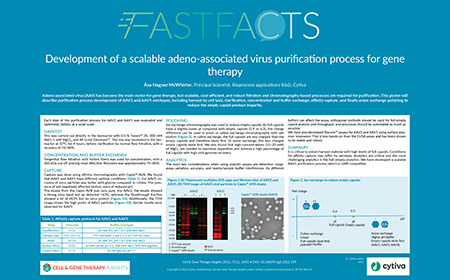 Development of a scalable adeno-associated virus purification process for gene therapy