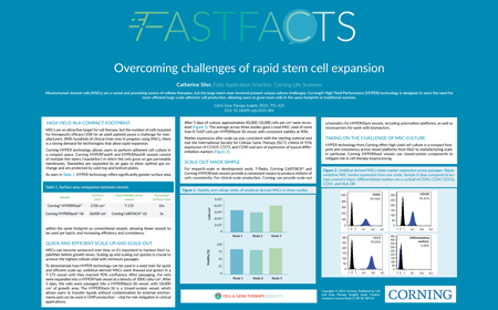 Overcoming challenges of rapid stem cell expansion