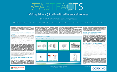 Making billions (of cells) with adherent cell cultures