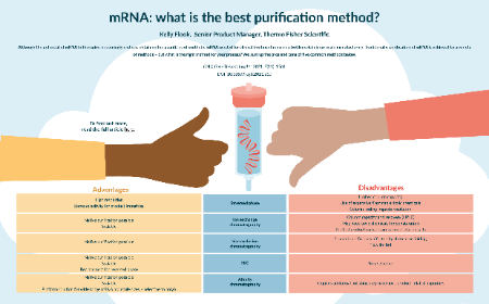 mRNA: what is the best purification method?