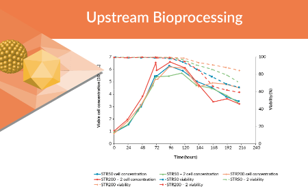 Transfer and scale-up from 10 L BioBLU<sup>®️</sup> to Allegro™ STR 50 and STR 200 Bioreactors