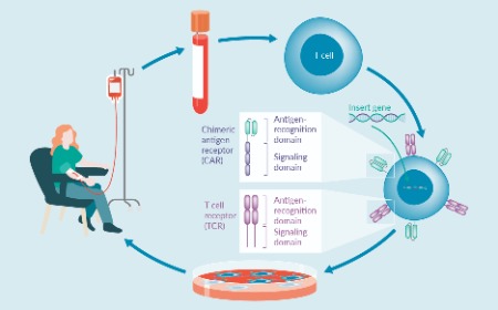 The T cell therapy field faces preclinical and translational R&D challenges as it targets more complex diseases