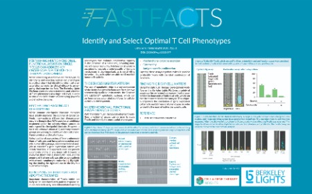 Identify and select optimal T cell phenotypes