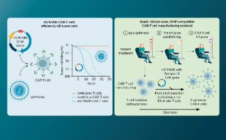 Next-generation DNA vectors: is the nS/MARt platform a viable alternative to viruses for autologous T-cell immunotherapy?